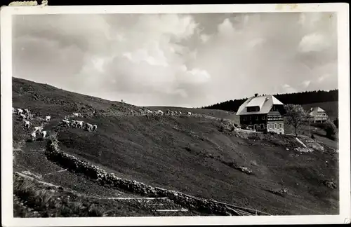 Ak Todtnauberg Todtnau im Schwarzwald, Blick auf Fremdenheim Tannenhof