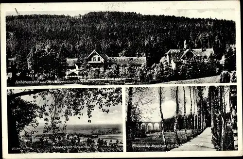 Ak Hohenstein Ernstthal in Sachsen, Panorama, Betlehemstift, Frauengenesungsheim, Birkenweg Haynholz