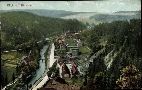Ak Rübeland Oberharz am Brocken, Gesamtansicht mit Bodepartie, Wald