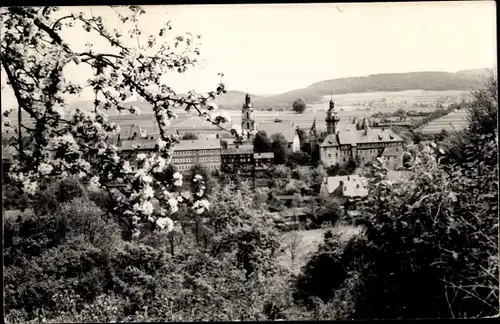 Ak Schleusingen in Thüringen, Teilansicht