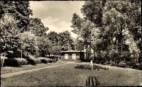 Ak Sternberg in Mecklenburg, Parkanlage