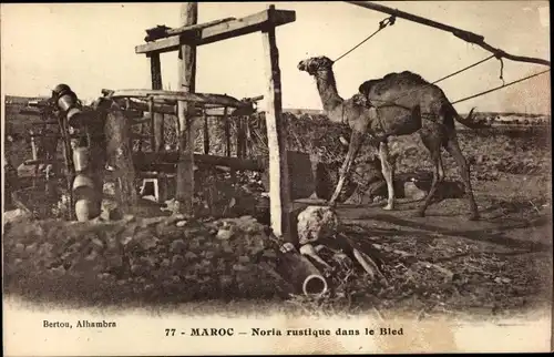 Ak Marokko, Noria rustique dans le Bled, Kamel, Wasserschöpfrad