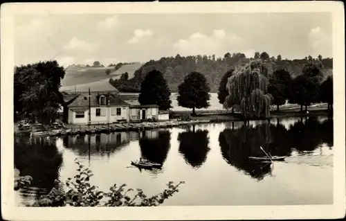 Ak Frankenberg Sachsen, Blick auf den Schilfteich mit Ruderern