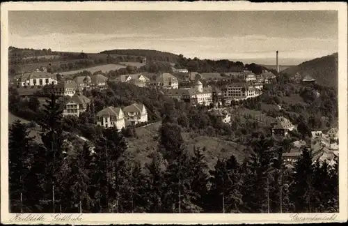 Ak Bad Gottleuba in Sachsen, Blick über den Ort, Heilstätte