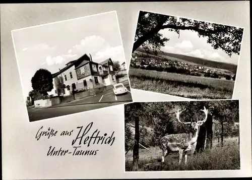 Ak Heftrich Idstein im Taunus Hessen, Gasthaus und Pension zum Taunus, Hirsch