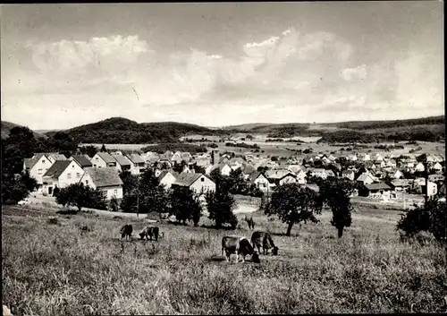 Ak Winkels Mengerskirchen im Westerwald, Gesamtansicht, Kühe