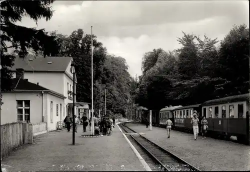 Ak Heiligendamm Bad Doberan, Bahnhof mit Bäderbahn Molli, Gleisseite