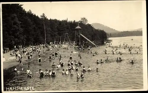 Foto Ak Hamr na Jezeře Hammer am See Region Reichenberg, Hammersee, Badende