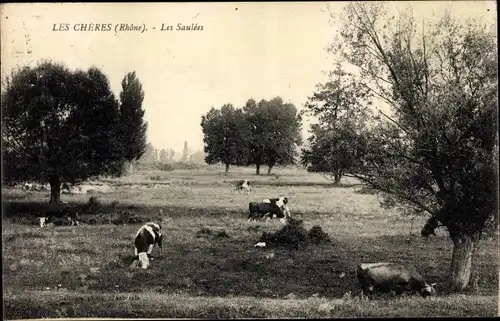 Ak Les Chères Rhône, Les Saulees