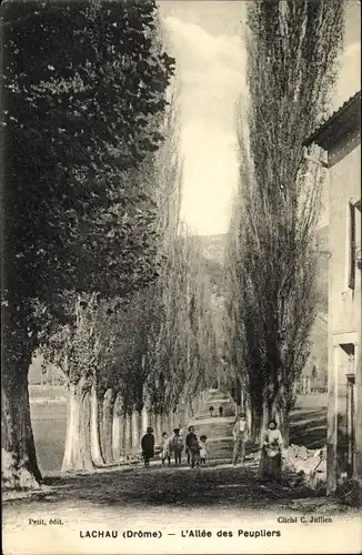 Ak Lachau Drôme, L'Allee des Peupliers