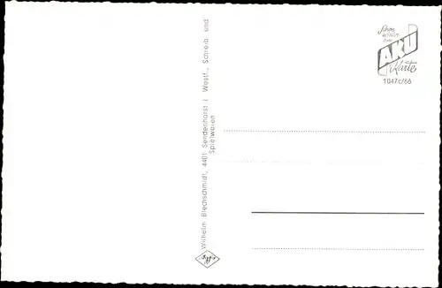 Ak Sendenhorst in Westfalen, St. Martin, St. Josefs Stift, Ehrenmal, Nordstraße, Kirchstraße