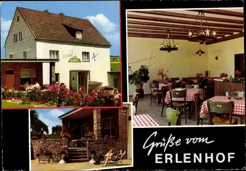 Ak Waldernbach Mengerskirchen im Westerwald, Privatpension Erlenhof