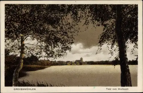 Ak Grevesmühlen in Mecklenburg, Total vom Dreibusch