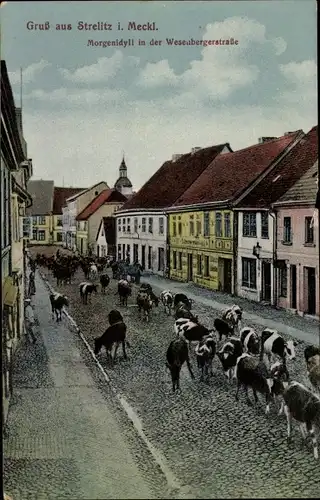 Ak Strelitz Alt Neustrelitz in Mecklenburg, Morgenidyll in der Wesenbergerstraße, Rinder