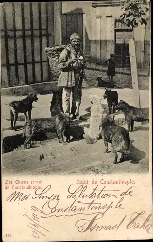 Ak Konstantinopel Istanbul Türkei, Les Chiens errant, Hunde