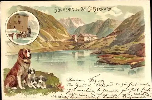 Künstler Litho Grand Saint Bernard Kanton Wallis, Bernhardiner mit Welpen, Training