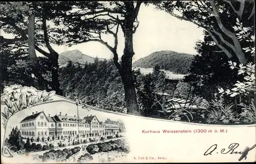 Ak Oberdorf Kanton Solothurn, Kurhaus Weissenstein, Aussicht