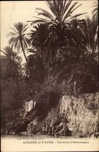 Ak Scenes et Types, Un Coin Pittoresque, Maghreb, Palmen