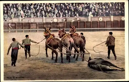 Ak Stierkampf, Stadion, El arrastre