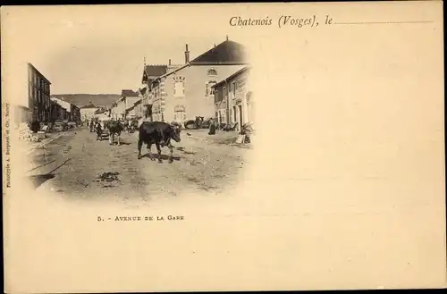 Ak Châtenois Vosges, Avenue de la Gare