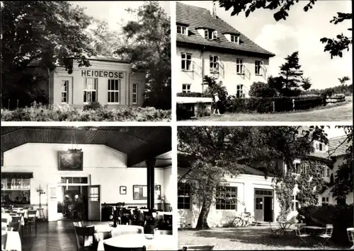 Ak Vitte Hiddensee Ostsee, Partie an der Gaststätte Heiderose, Innenansicht, Garten