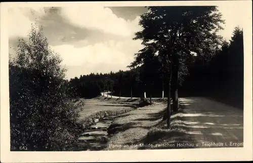 Ak Holzhau Rechenberg Bienenmühle Erzgebirge, Partie an der Mulde zw. Holzhau u. Teichhaus