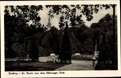 Ak Freiberg im Kreis Mittelsachsen, Partie aus dem Scheringer Park