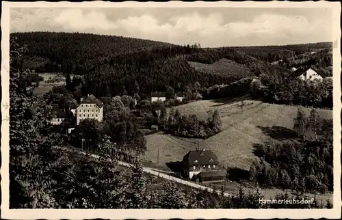 Ak Hammerleubsdorf Leubsdorf in Sachsen, Panoramablick