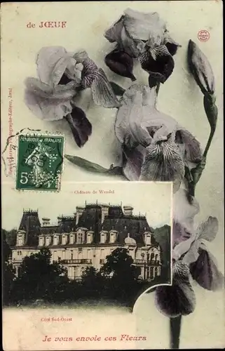 Ak Joeuf Meurthe et Moselle, Château de Wendel, Blume