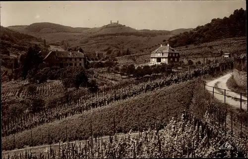 Ak Barr Elsass Bas Rhin, Hotel Buhl et Chateau d'Andlau