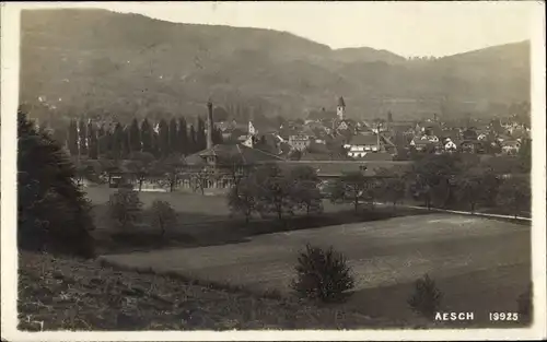 Foto Ak Aesch Basel Landschaft, Blick auf den Ort