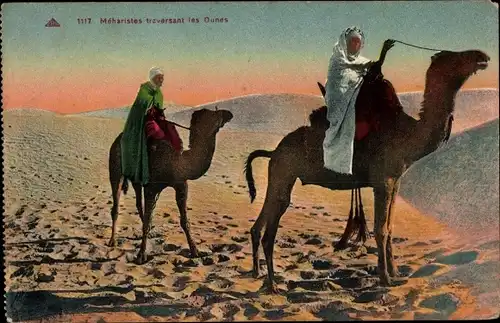Ak Meharistes traversant les Dunes, Kamele