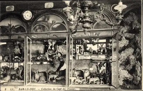 Ak Bar le Duc Meuse, Collection du Café des Oiseaux, ausgestopfte Tiere, Vitrine