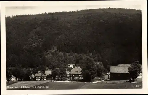 Ak Holzhau Rechenberg Bienenmühle Erzgebirge, Blick auf den Ort