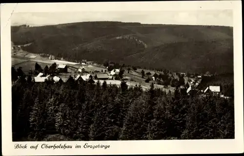 Ak Ober Holzhau Rechenberg Bienenmühle Erzgebirge, Panorama