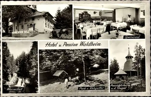 Ak Herrischwand über Bad Säckingen am Hochrhein, Hotel Pension Waldheim, Wasserfall, Aussichtsturm