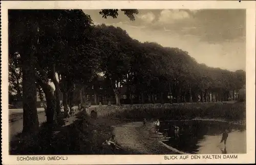 Ak Schönberg in Mecklenburg, Am Kalten Damm