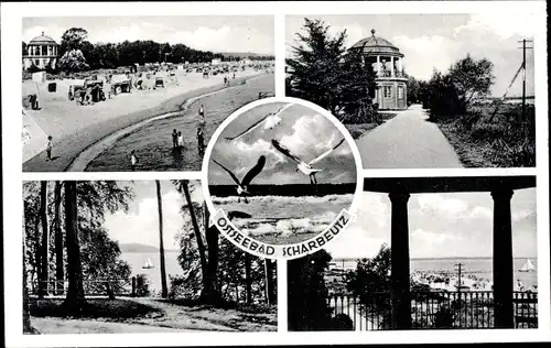 Ak Scharbeutz in Ostholstein, Ostseebad, Badeleben, Strandpromenade, Blick auf die See, Möwen