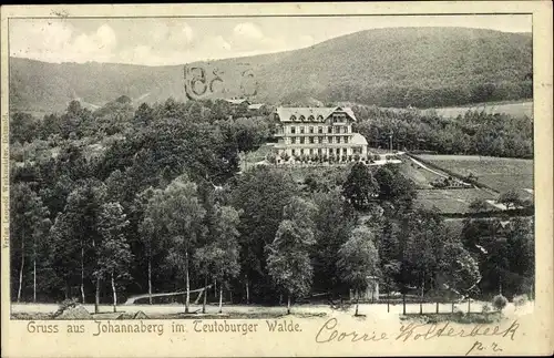 Ak Johannaberg Berlebeck Detmold im Teutoburger Wald, Totalansicht, Pension