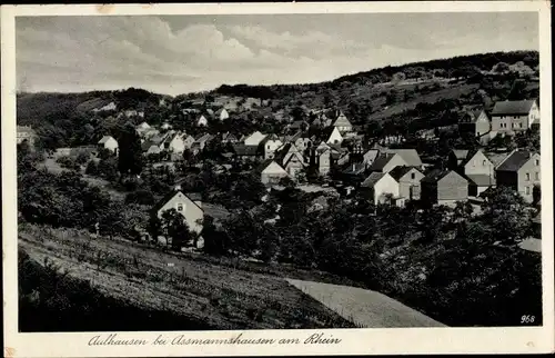 Ak Aulhausen Rüdesheim am Rhein, Totalansicht