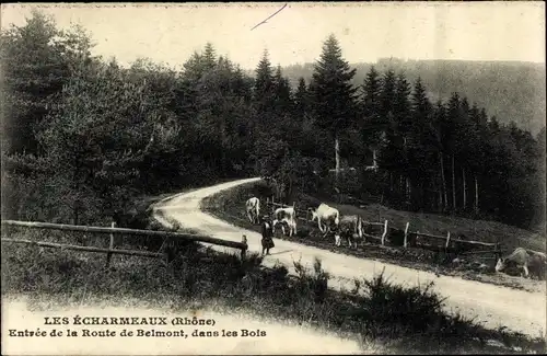 Ak Les Ècharmeaux Rhône, Route de Belmont, Vaches