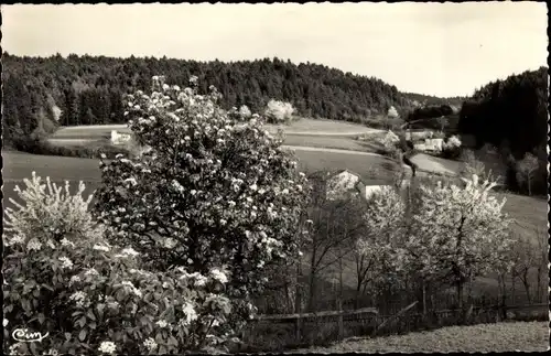 Ak Saint-Igny-de-Vers Rhône, Les Noirs