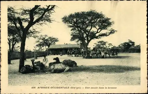 Ak Senegal, Une escale dans la brousse