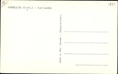 Ak Ambillou Indre et Loire, Les Landes, Jagdhunde