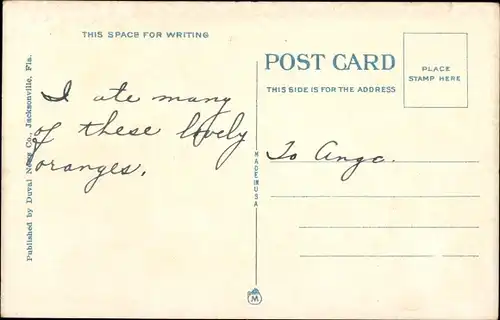 Ak Florida USA, Oranges and Blossoms