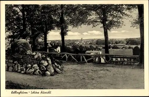 Ak Kellinghusen in Holstein, Schöne Aussicht