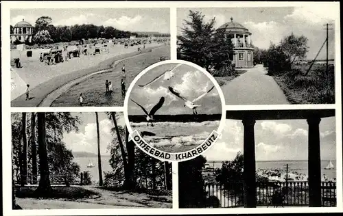 Ak Scharbeutz in Ostholstein, Ostseebad, Strandleben, Möwen, Blick auf die See