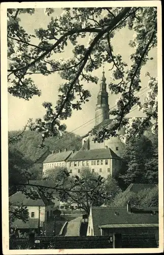 Ak Weesenstein Müglitztal in Sachsen, Schloss zur Baumblüte