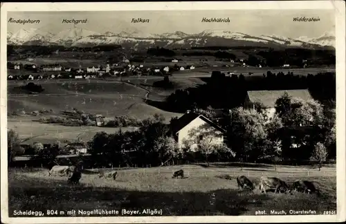 Ak Scheidegg bayer. Allgäu, Panorama, Nagelfluhkette, Kuhweide