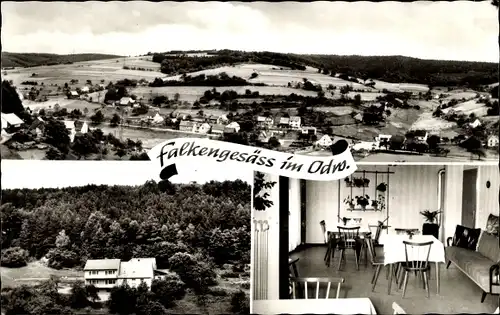 Ak Falken Gesäß Oberzent im Odenwald, Pension Sommerberg